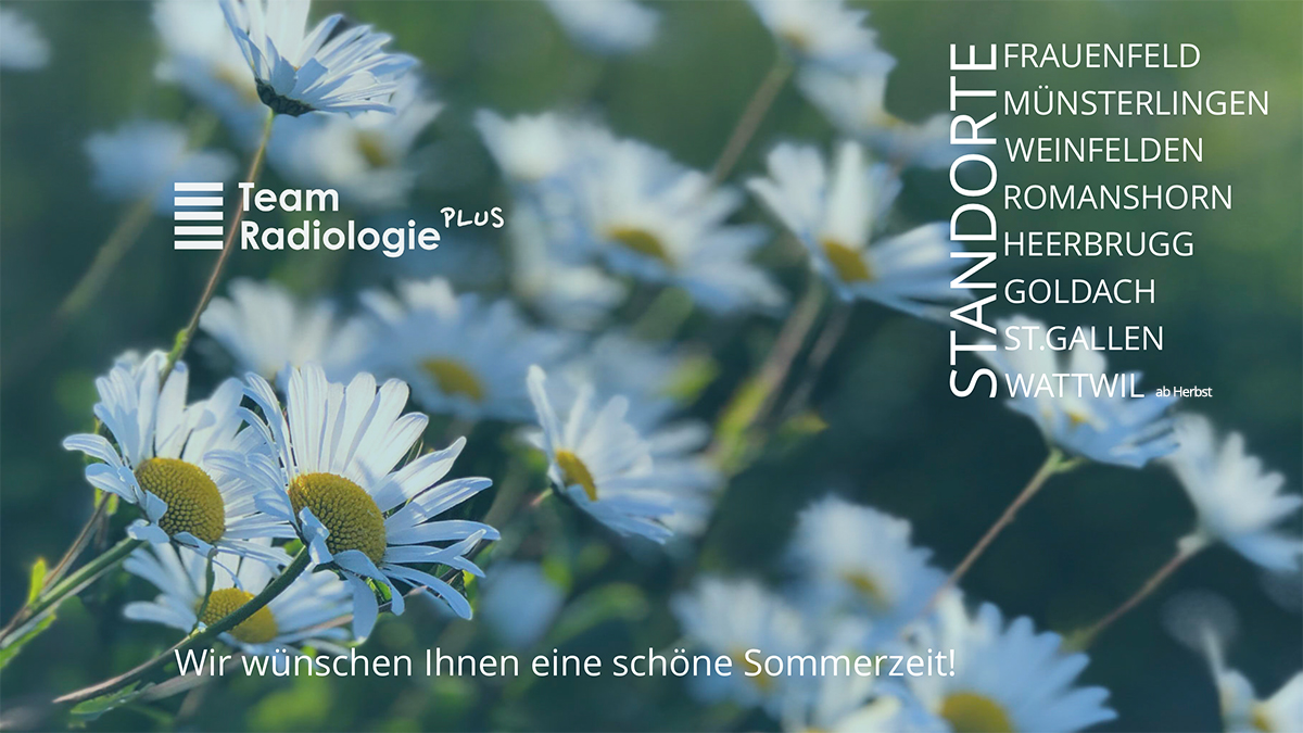 TEAM_Sommergrüsse